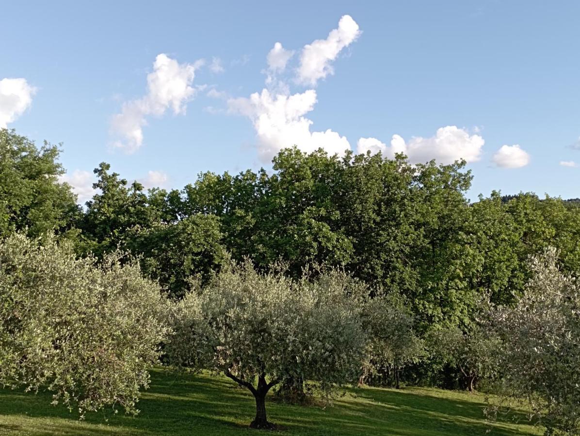 Villa Luna Comeana Exterior photo