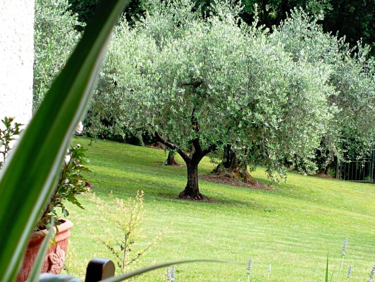 Villa Luna Comeana Exterior photo